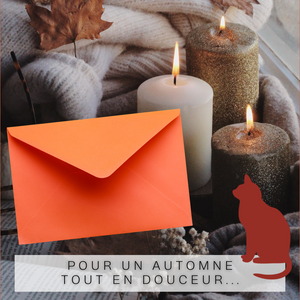 Mystery Letter - Un automne cozy